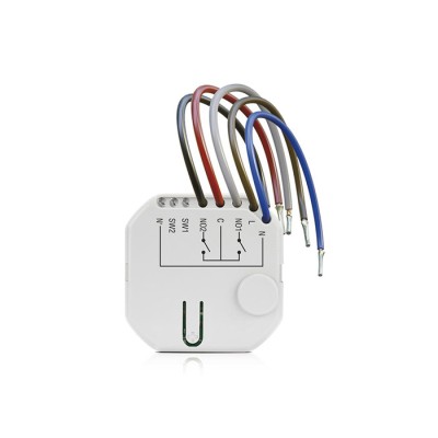 ASW-210 Interfaccia wireless due canali 230 V AC Antifurto